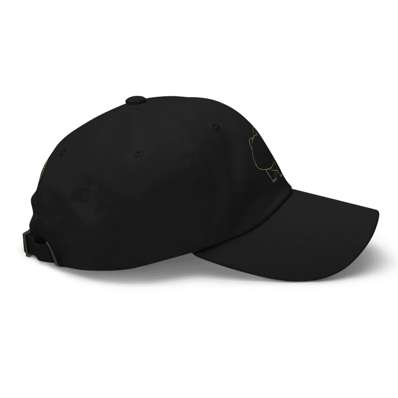 Custom Bulbsaur Hat